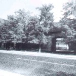 1950-64